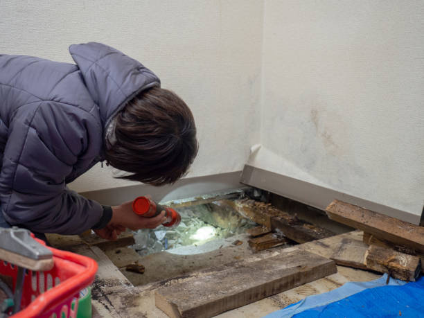 Hampton Beach, NH Mold Removal Company